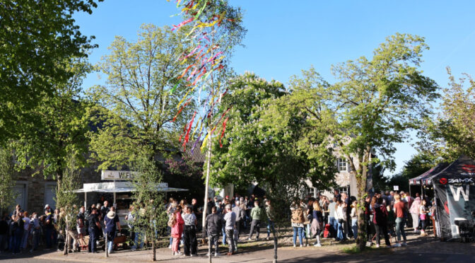 Maibaum steht
